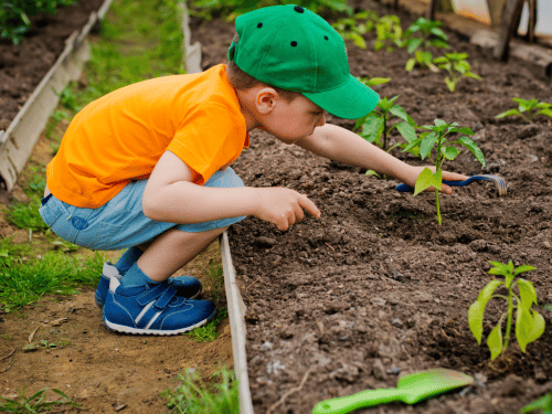 Jardinage pour enfants : comment les impliquer dans les travaux de jardinage
